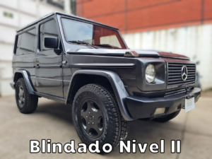 Mercedes Benz Clase G300 1992